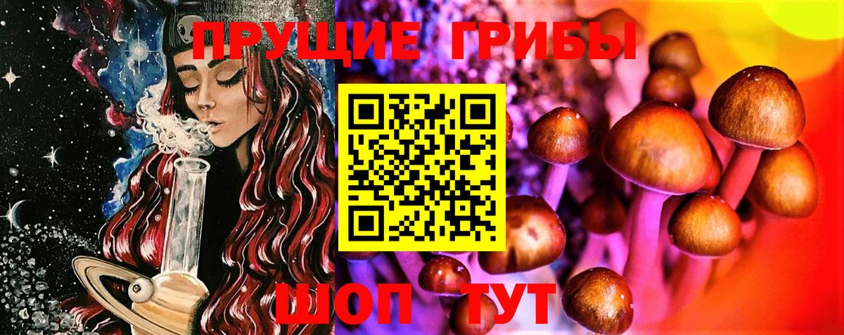 Псилоцибиновые грибы мухоморы Ликино-Дулёво